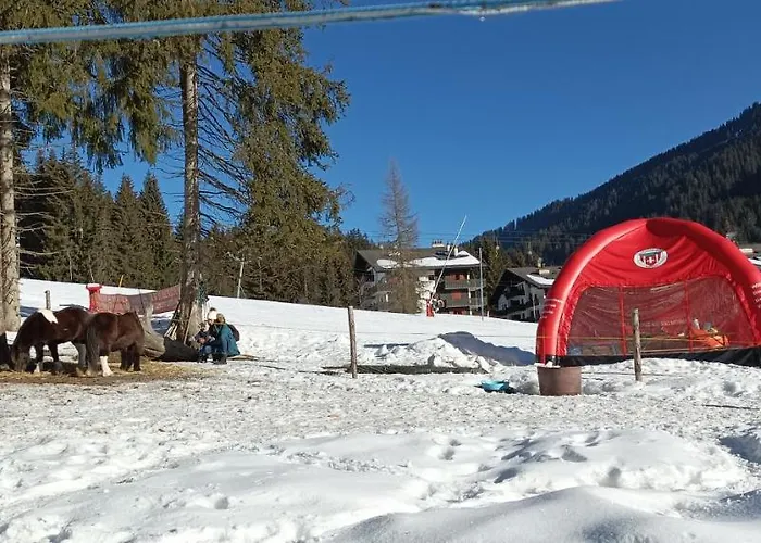 Appartement Avec Piscine, Porte Du Soleil Morgins, Ps3 Games, Wash&bring Sheets Morgins