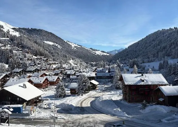 Avec Piscine, Porte Du Soleil Morgins, Ps3 Games, Wash&bring Sheets Morgins