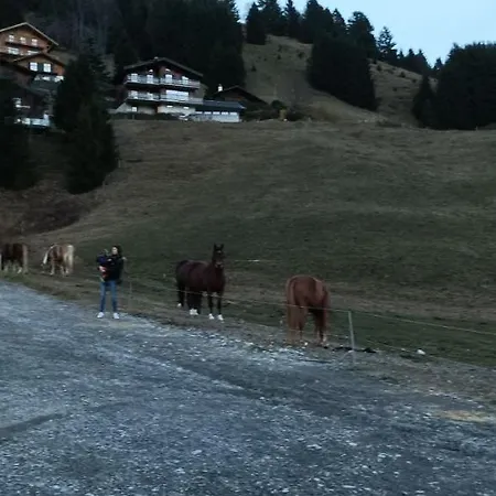 Bellevue Résidence- Piscine, Porte Du Soleil Appartement Morgins